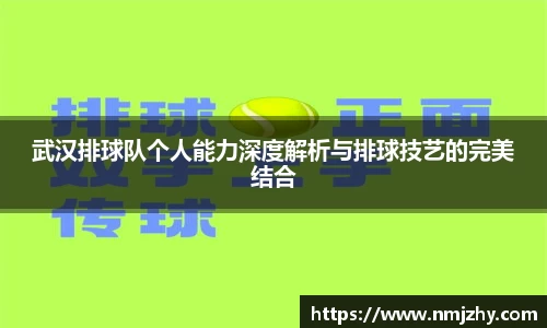 武汉排球队个人能力深度解析与排球技艺的完美结合
